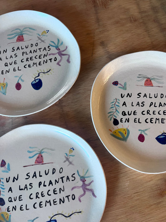 PLATOS PLANTA